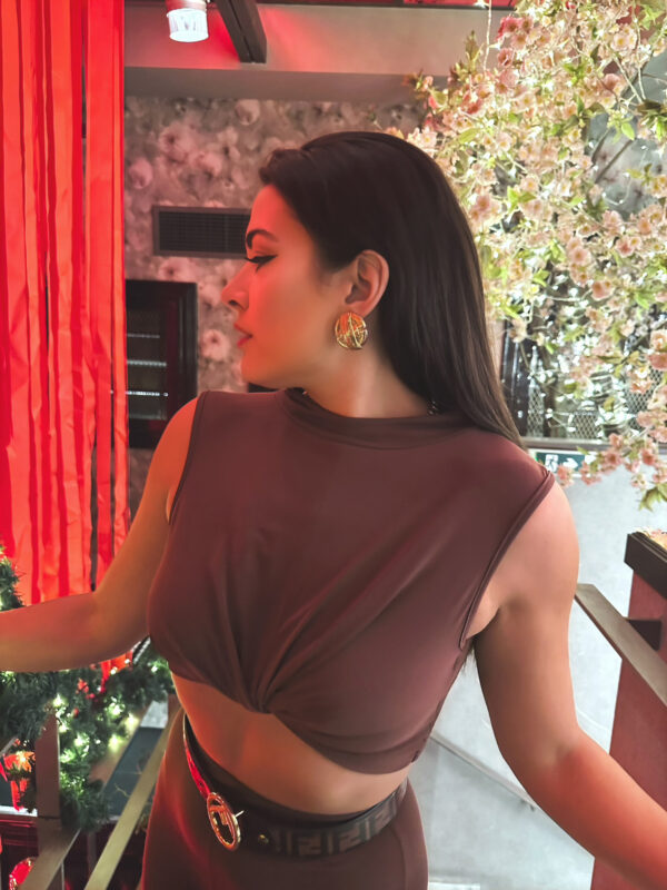 Zina Crop Top Brown